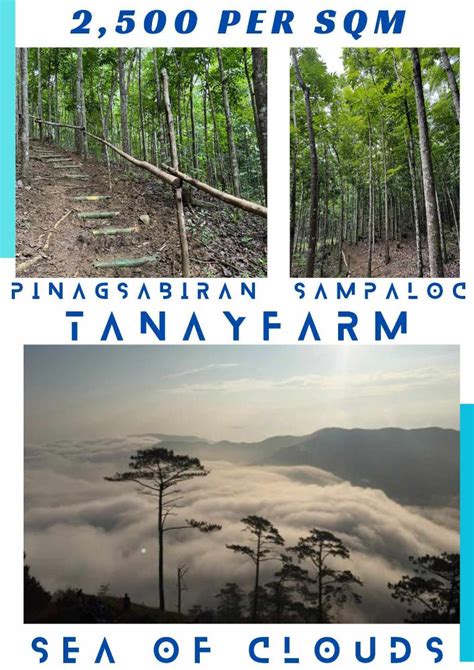 Properties For Sale in Sampaloc, Tanay .